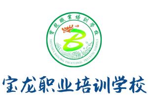 宝龙职业培训学校 宝龙职业培训学校